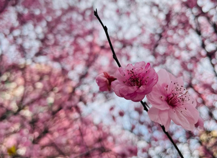 代理日记2021.02.25-Day189