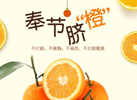 代理日记2021.02.23-Day187