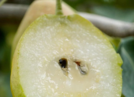 代理日记2020.09.28-Day40