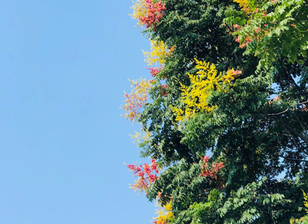 代理日记2020.09.27-Day39