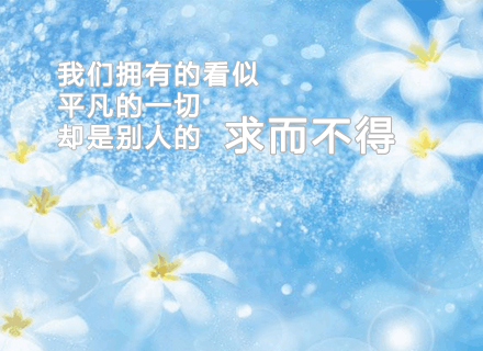 代理日记2021.02.24-Day188