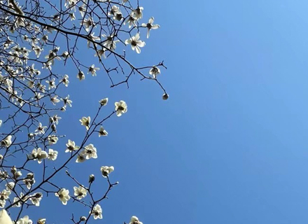 代理日记2021.02.22-Day186