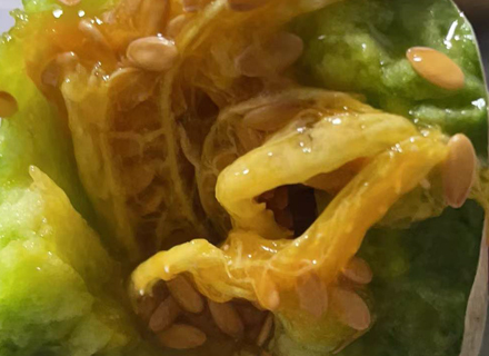 代理日记2021.03.18-Day210