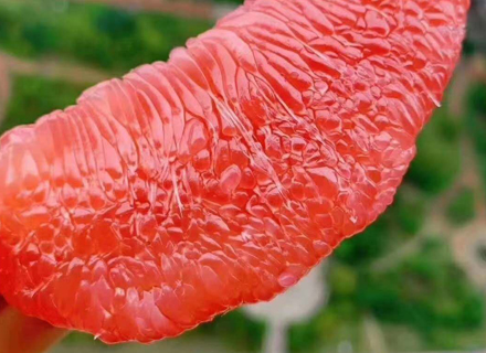 代理日记2020.09.07-Day19