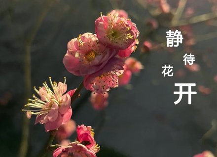 代理日记2021.02.07-Day172