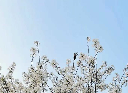 代理日记2021.03.15-Day207