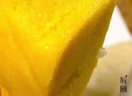 代理日记2020.12.28-Day131