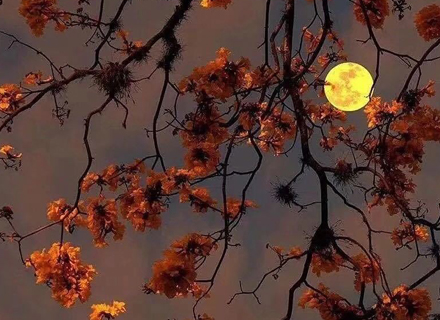 代理日记2020.09.14-Day26