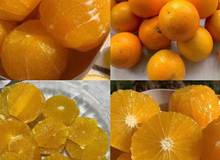 代理日记2020.12.18-Day121