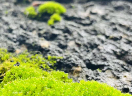 代理日记2021.03.20-Day212