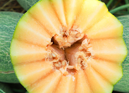 代理日记2020.09.18-Day30