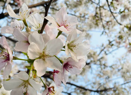 代理日记2021.03.14-Day206