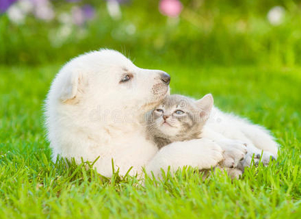 代理日记2020.12.17-Day120