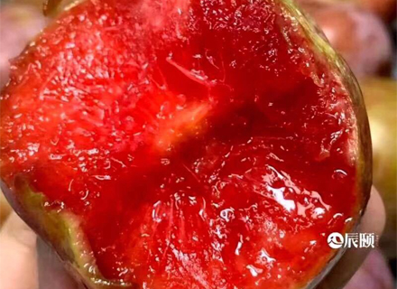 代理日记2020.08.22-Day3