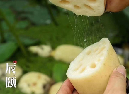 代理日记2020.09.13-Day25