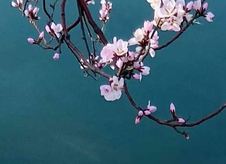 代理日记2021.03.16-Day208