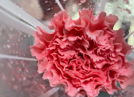 代理日记2021.03.08-Day200