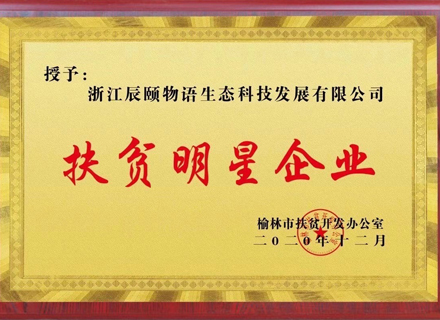 代理日记2020.12.15-Day118