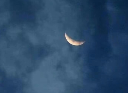 代理日记2021.03.07-Day199